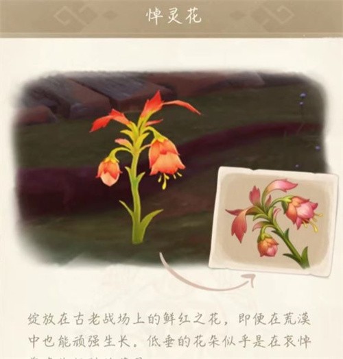 原神悼灵花多久刷新一次 原神悼灵花刷新时间及作用介绍