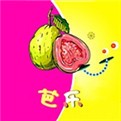 久久美女视频