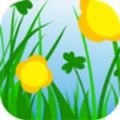 爱情岛最新版app