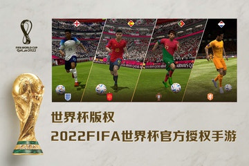 fifa足球世界1
